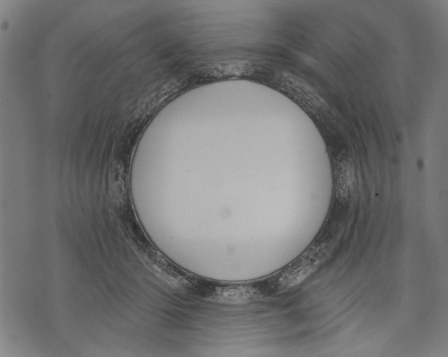 X0000071770414200607211537