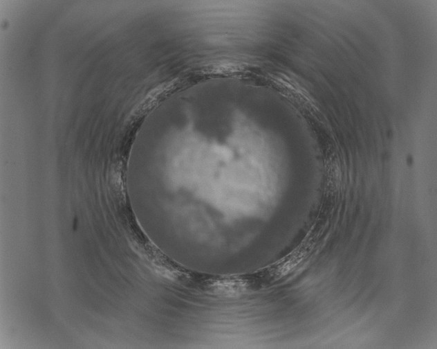 X0000071770415200607211537