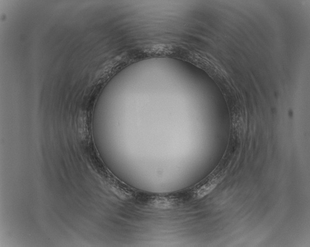 X0000071770416200607211537