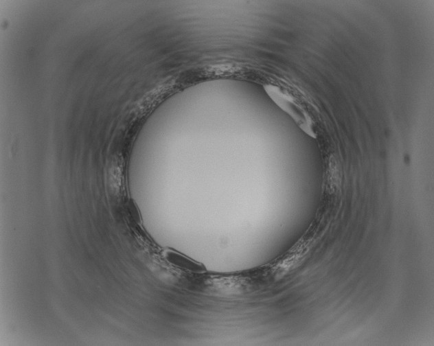 X0000071770417200607211537