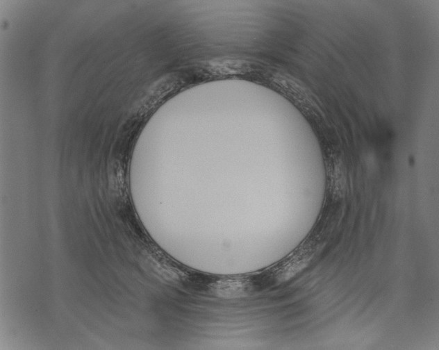 X0000071770418200607211537