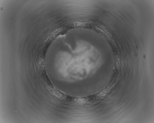 X0000071770419200607211537