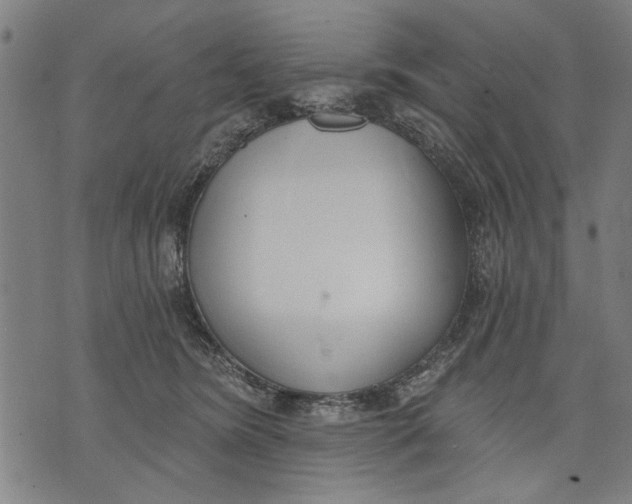 X0000071770420200607211537