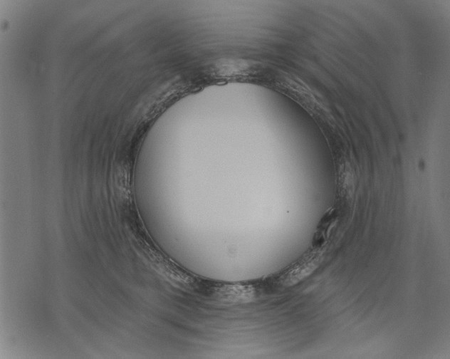 X0000071770421200607211537