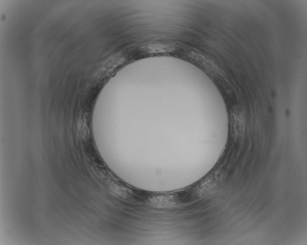 X0000071770422200607211537