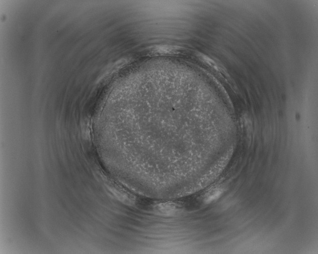 X0000071770423200607211536