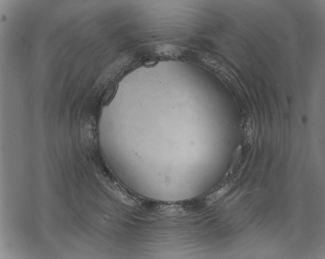 X0000071770424200607211536