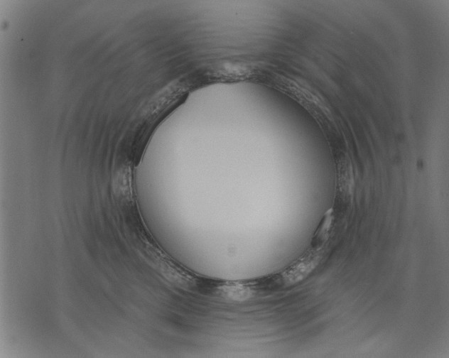 X0000071770425200607211536