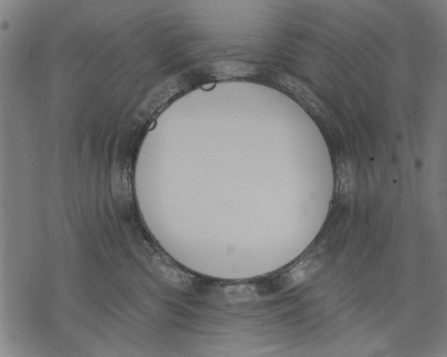 X0000071770426200607211536