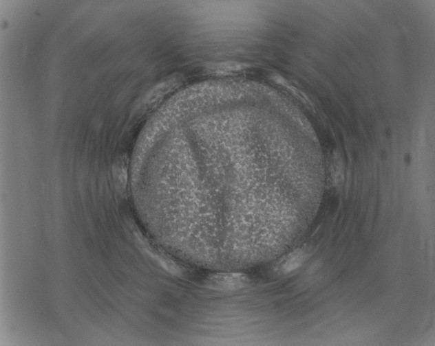 X0000071770427200607211536