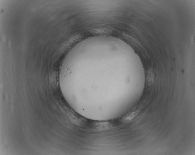 X0000071770428200607211536