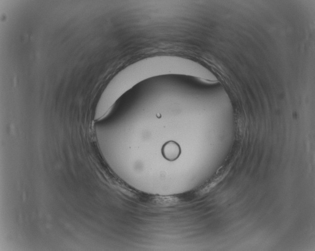 X0000071770429200607211536