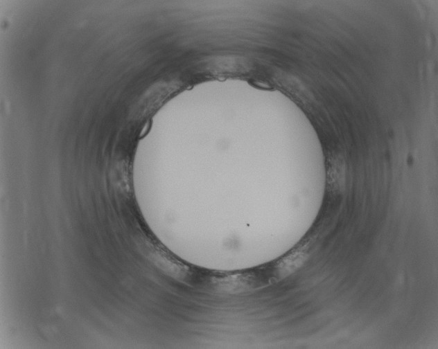 X0000071770430200607211536