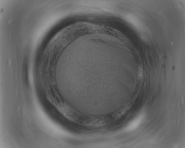 X0000071770431200607211536