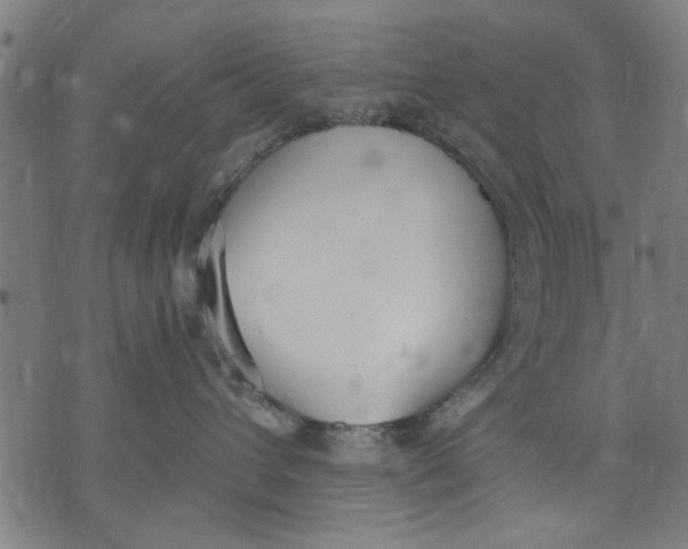 X0000071770432200607211536