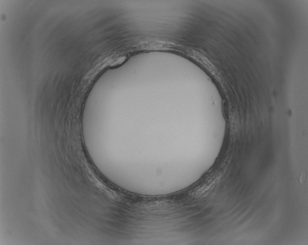 X0000071770433200607211536