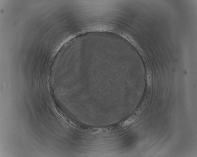 X0000071770434200607211536