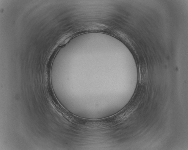 X0000071770435200607211536