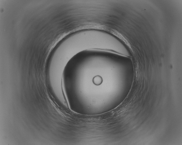 X0000071770436200607211536