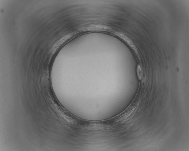 X0000071770437200607211536