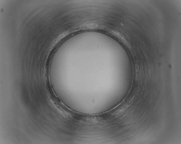 X0000071770439200607211536