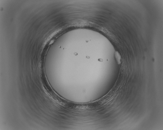 X0000071770440200607211536