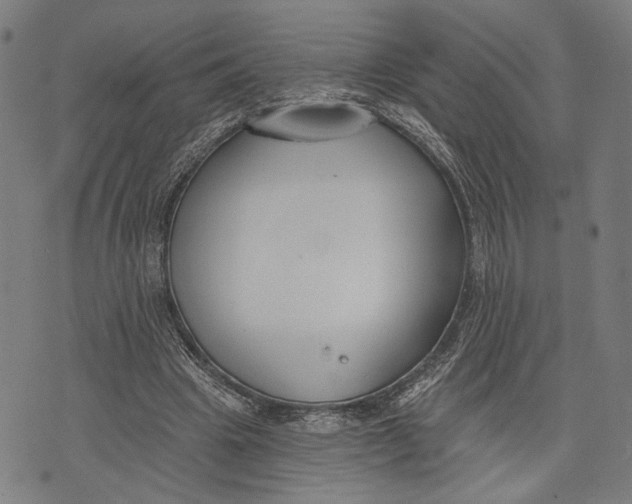 X0000071770441200607211536