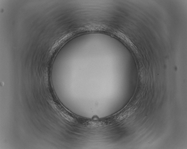 X0000071770442200607211536