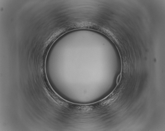 X0000071770443200607211536