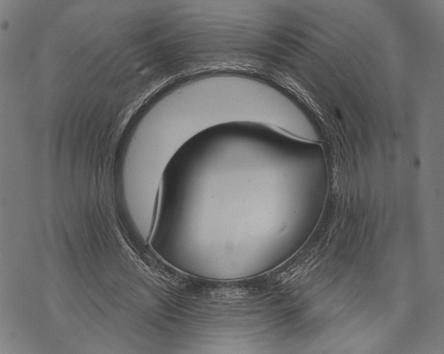 X0000071770444200607211536