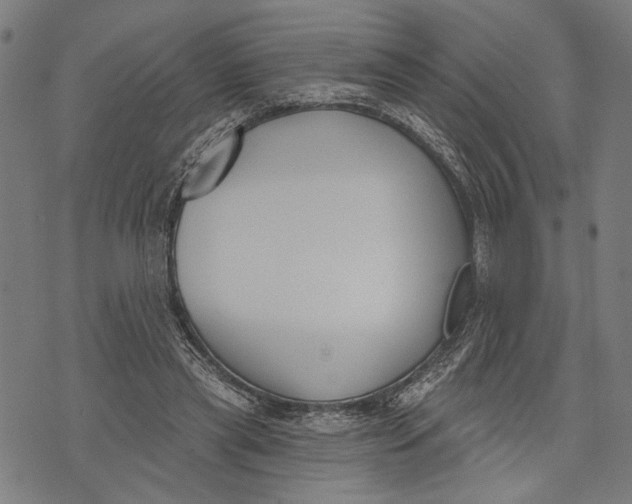 X0000071770445200607211536