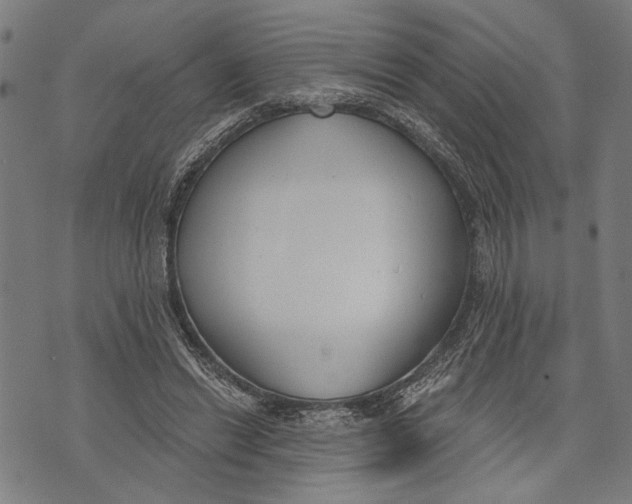 X0000071770446200607211536