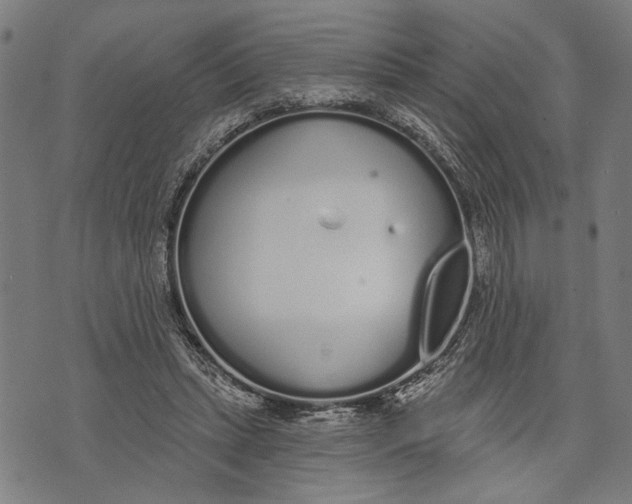 X0000071770447200607211536