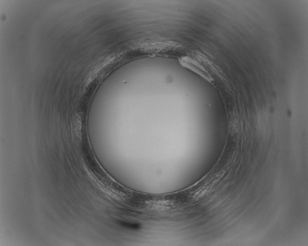 X0000071770448200607211536