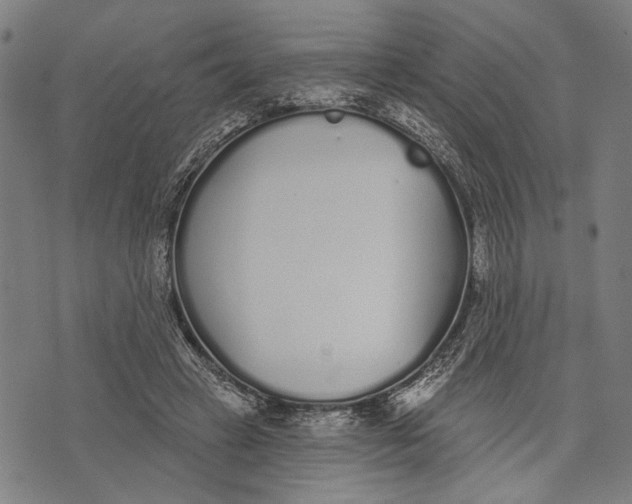 X0000071770449200607211536