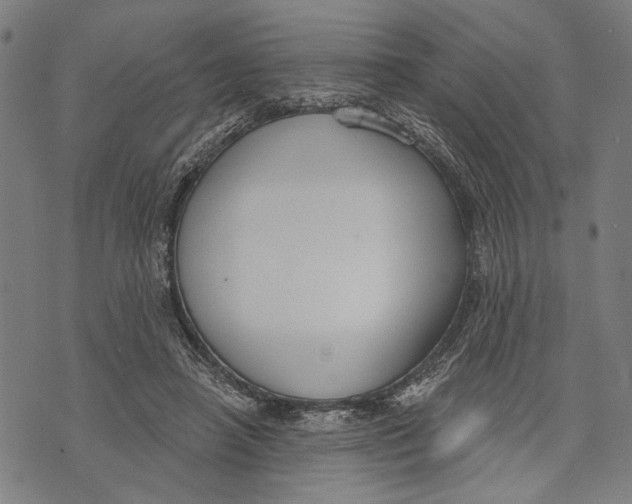 X0000071770450200607211536