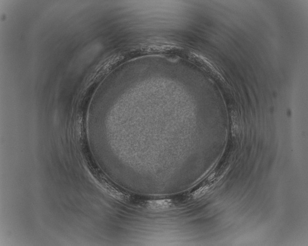 X0000071770451200607211536