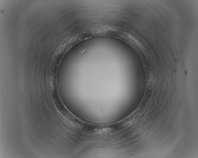 X0000071770452200607211536