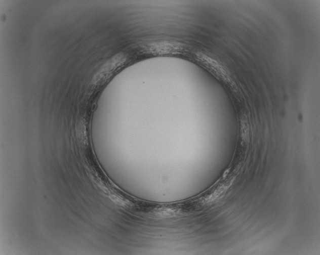 X0000071770453200607211536