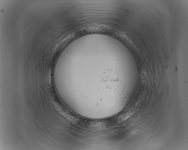 X0000071770454200607211536