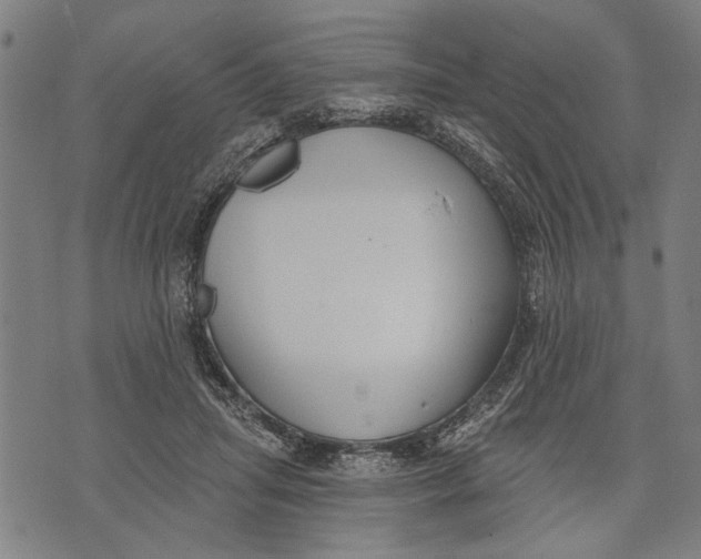 X0000071770455200607211536