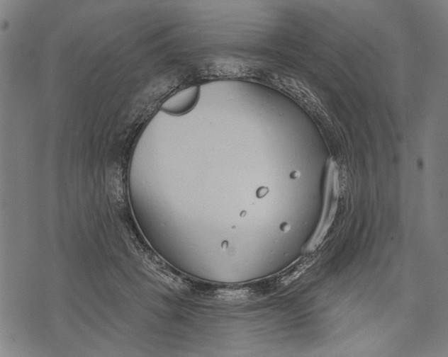 X0000071770457200607211536