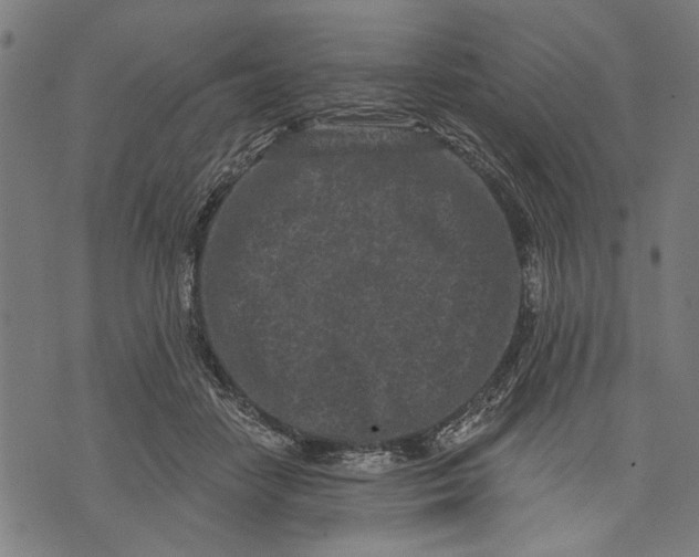 X0000071770458200607211536