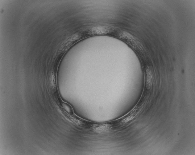 X0000071770459200607211536