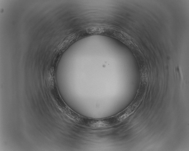 X0000071770460200607211536