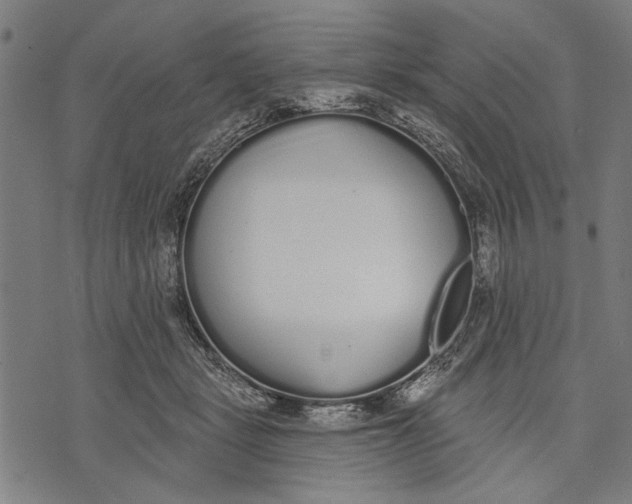 X0000071770461200607211536