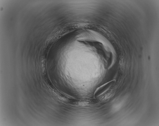 X0000071770462200607211536