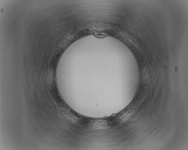 X0000071770463200607211536