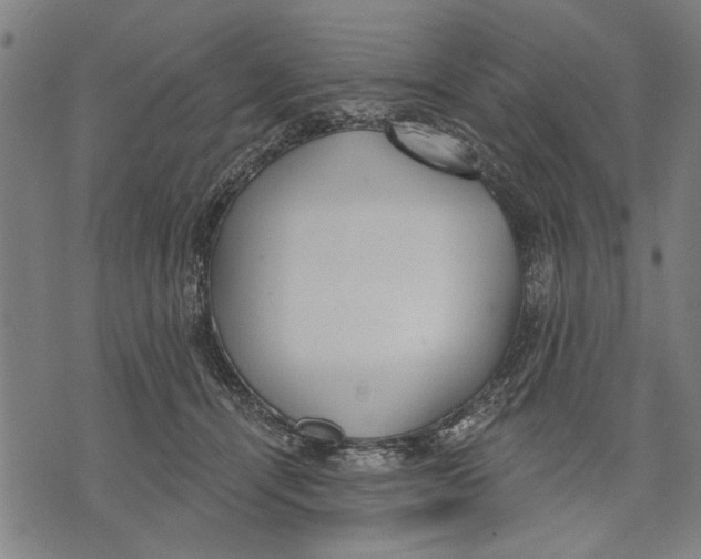 X0000071770464200607211536