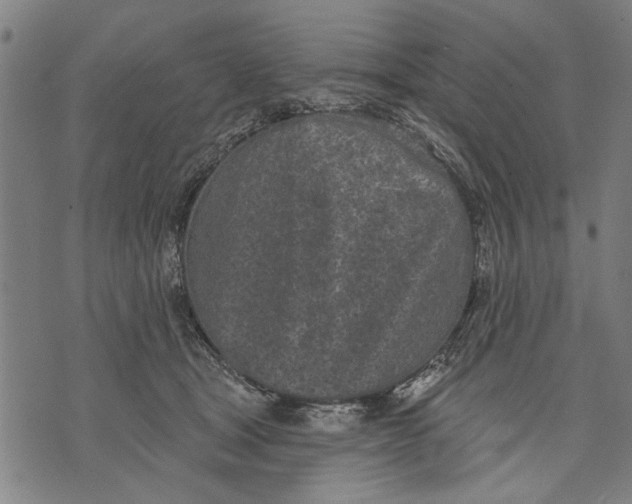 X0000071770465200607211536